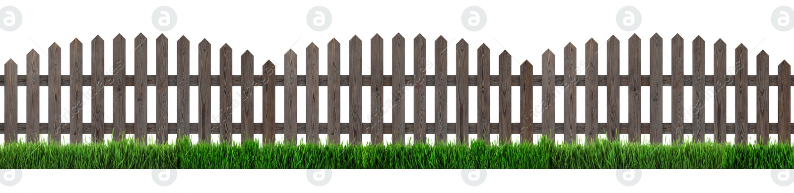 Image of Wooden fence and green grass isolated on white, banner design