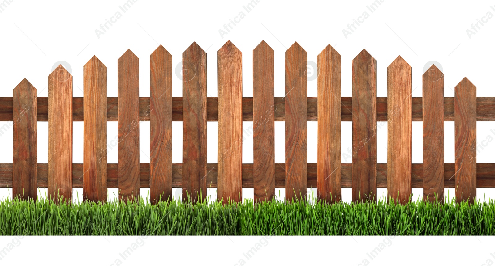 Image of Wooden fence and green grass isolated on white, banner design