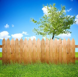 Image of Wooden fence, tree and green grass outdoors