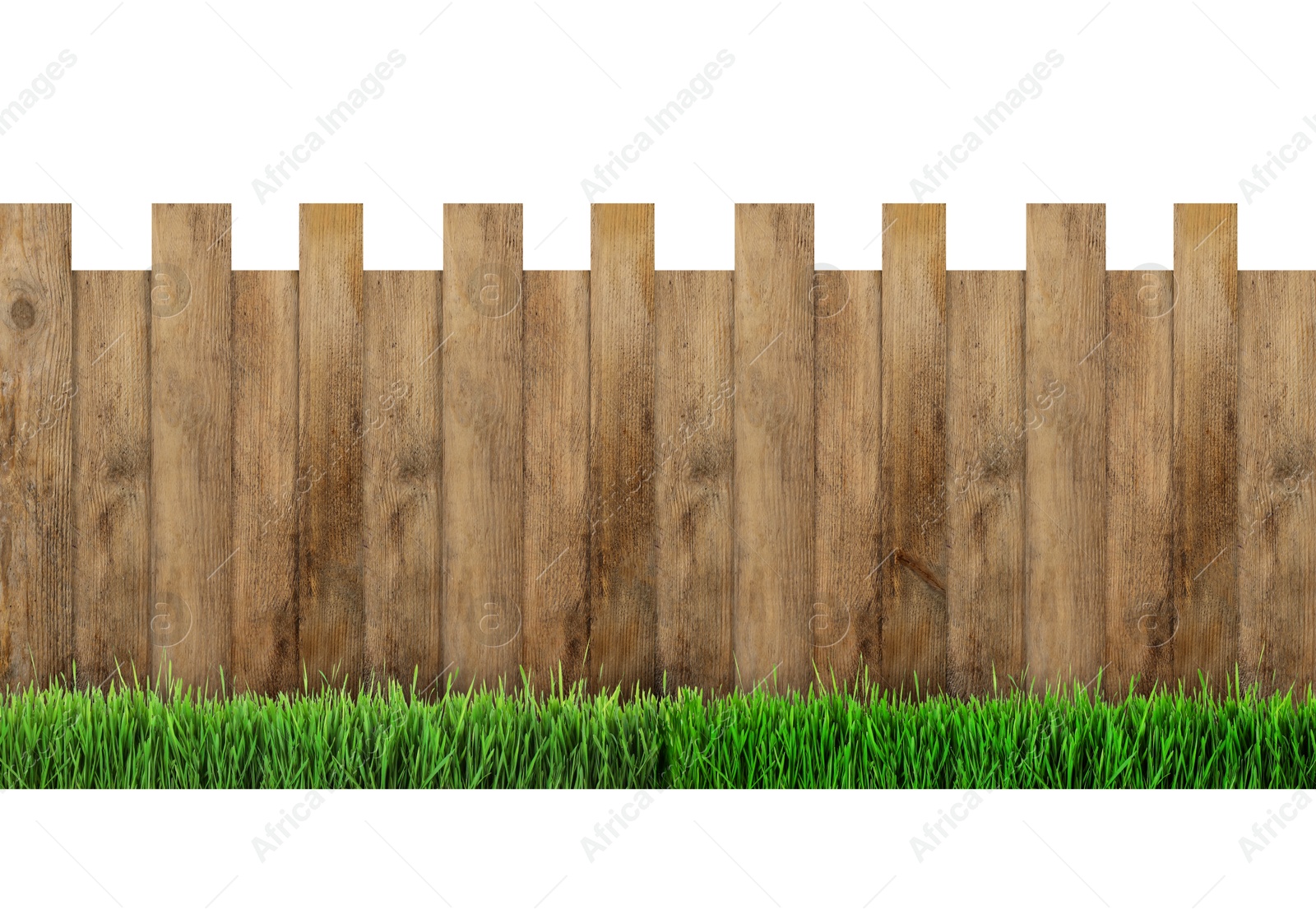 Image of Wooden fence and green grass isolated on white