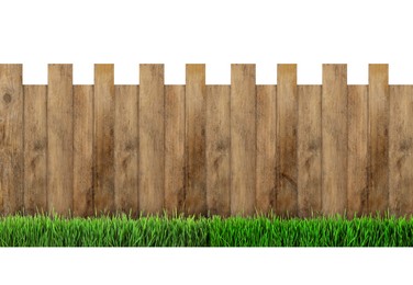 Wooden fence and green grass isolated on white