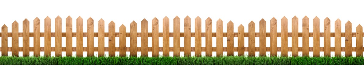 Wooden fence and green grass isolated on white, banner design