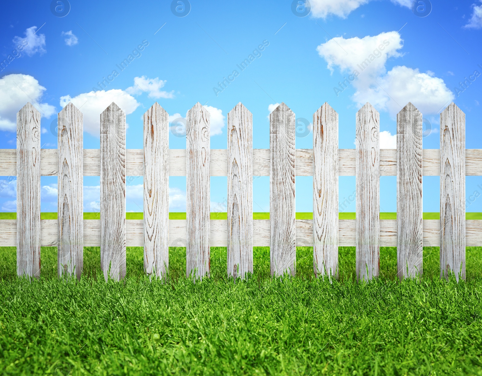 Image of Wooden fence and green grass under blue sky with clouds outdoors