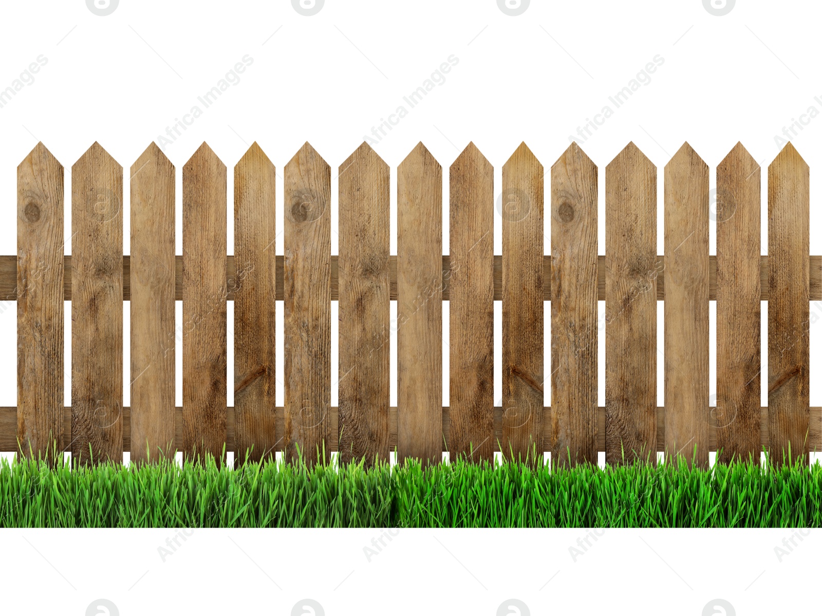 Image of Wooden fence and green grass isolated on white