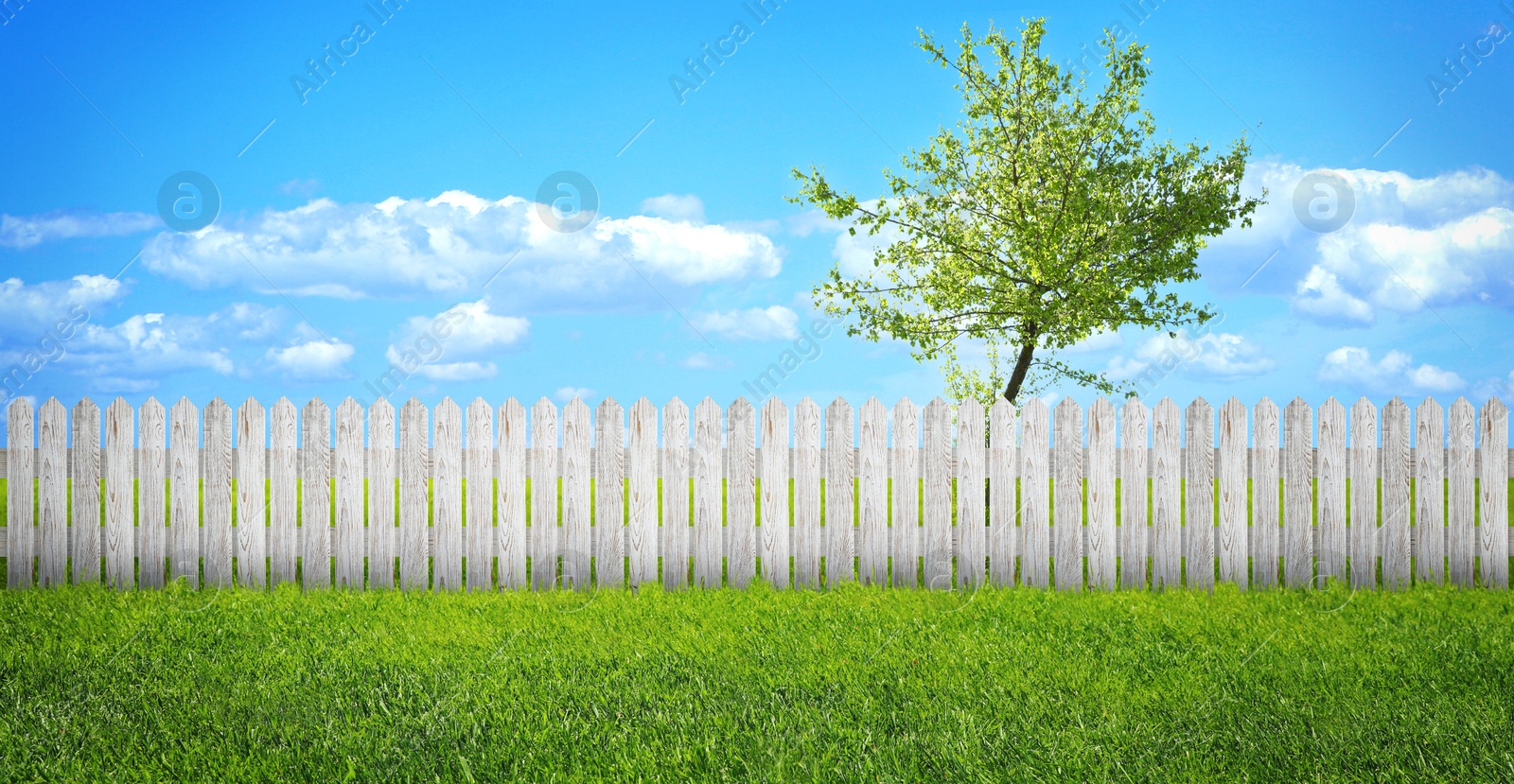 Image of Wooden fence and green grass outdoors, banner design