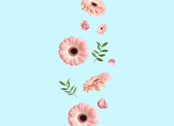 Image of Pink gerbera flowers and green leaves falling on light blue background