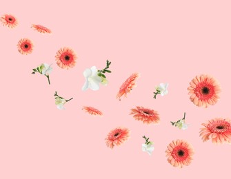 Image of Coral gerbera and white freesia flowers flying on pink background