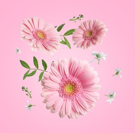 Gerberas and other beautiful flowers in air on pink background