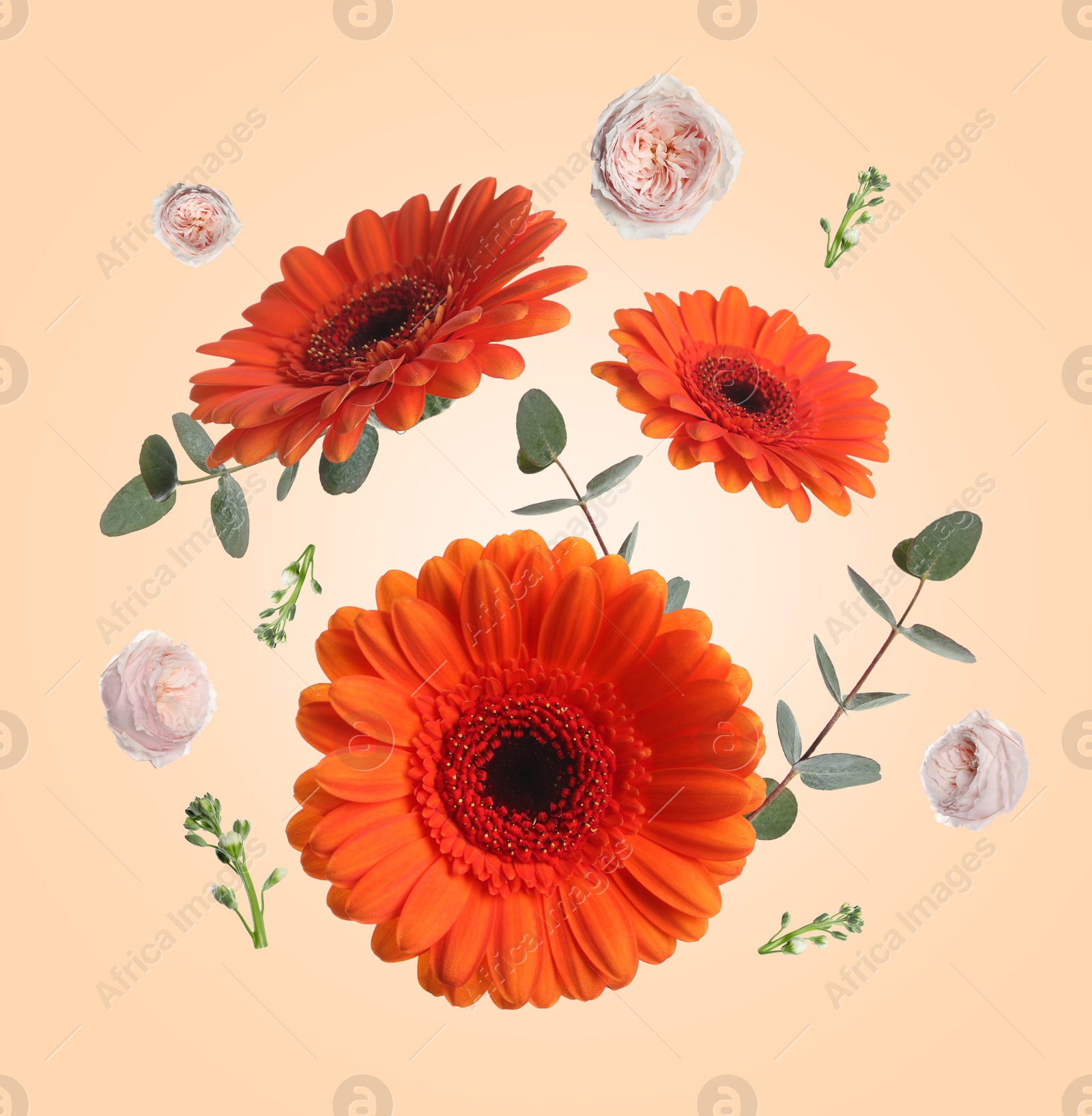 Image of Red gerberas and other beautiful flowers in air on beige background