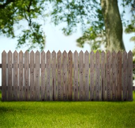 Wooden fence, tree and green grass outdoors