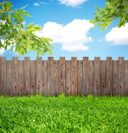 Wooden fence, trees and green grass outdoors