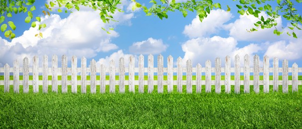 Wooden fence and green grass outdoors, banner design