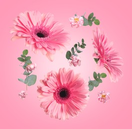 Image of Gerberas, peonies and green leaves in air on pink background