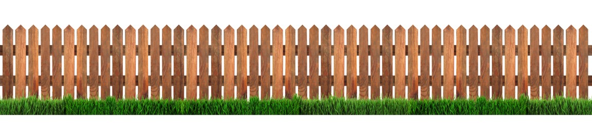 Image of Wooden fence and green grass isolated on white, banner design