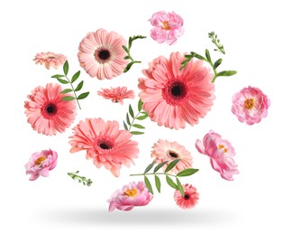 Image of Bright gerberas and other beautiful flowers in air on white background