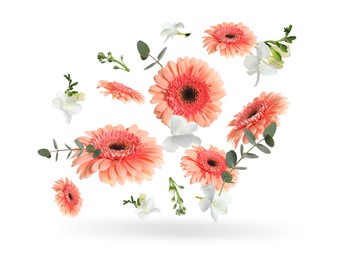 Coral gerberas and other beautiful flowers in air on white background