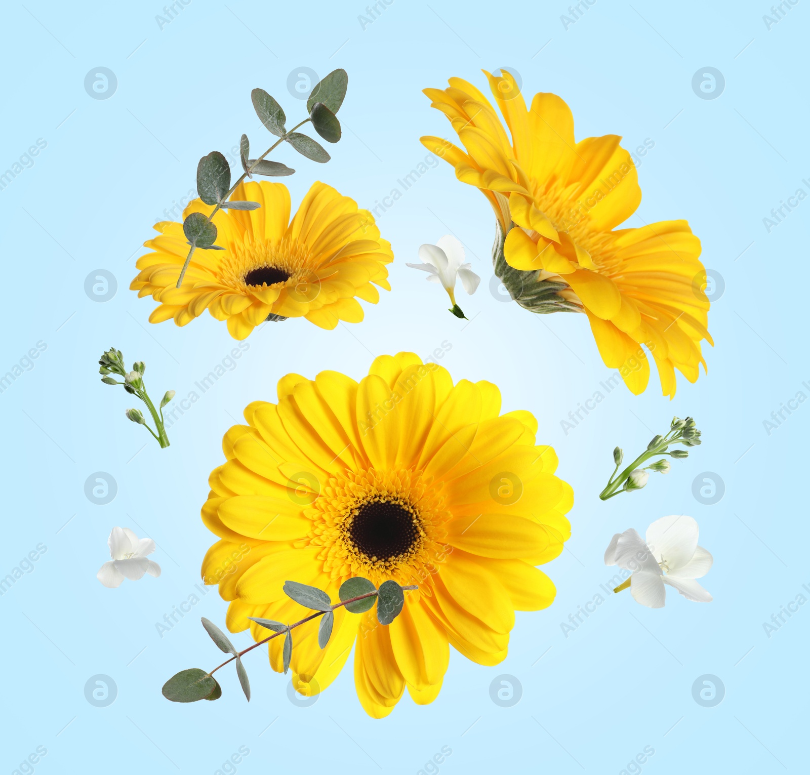 Image of Yellow gerberas and other beautiful flowers in air on light blue background