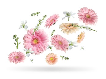 Image of Gerberas and other beautiful flowers in air on white background