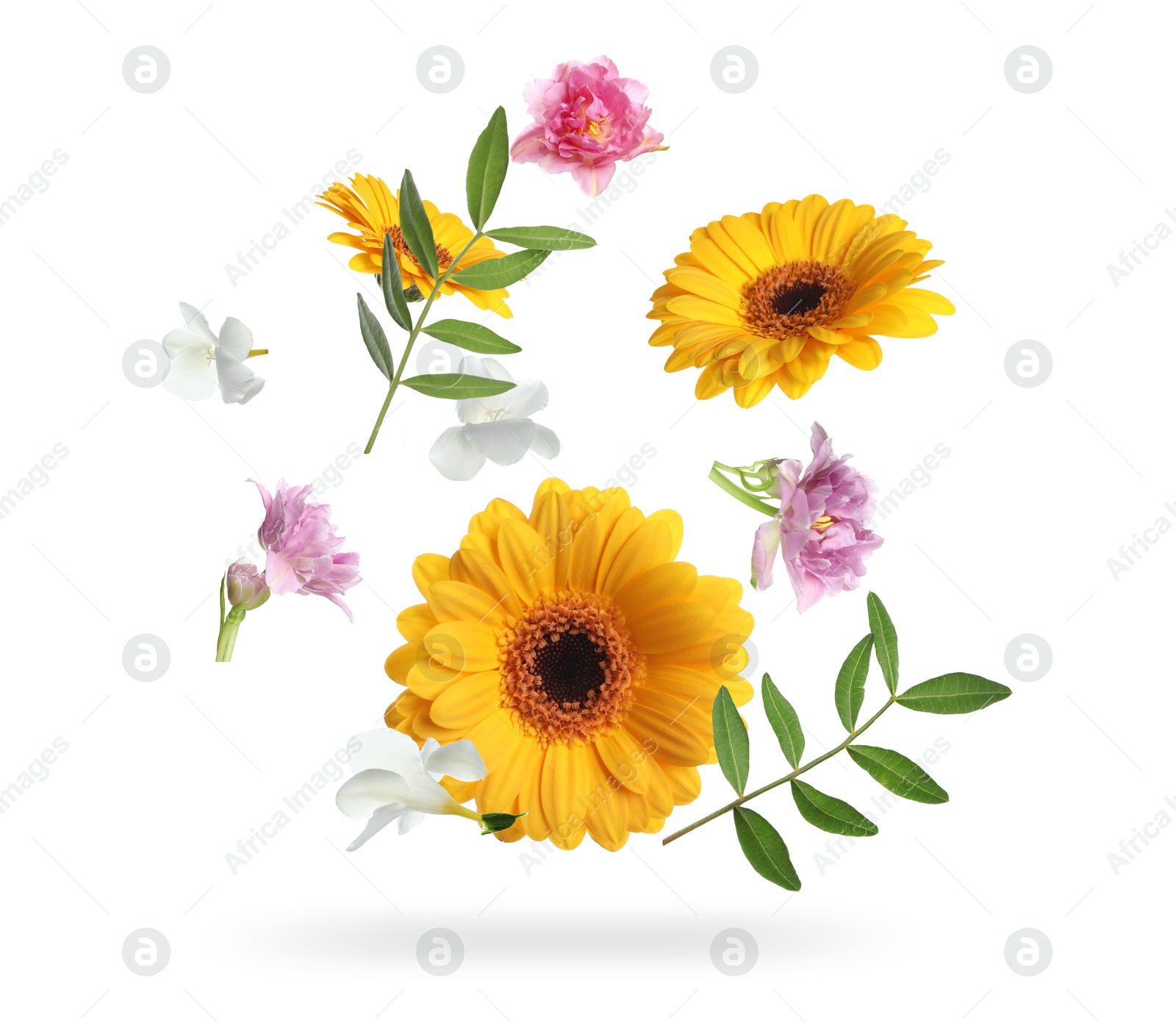 Image of Yellow gerberas and other beautiful flowers in air on white background