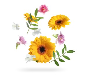 Image of Yellow gerberas and other beautiful flowers in air on white background