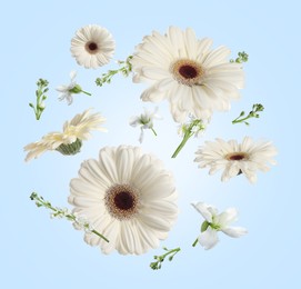 Image of White gerberas and other beautiful flowers in air on light blue background