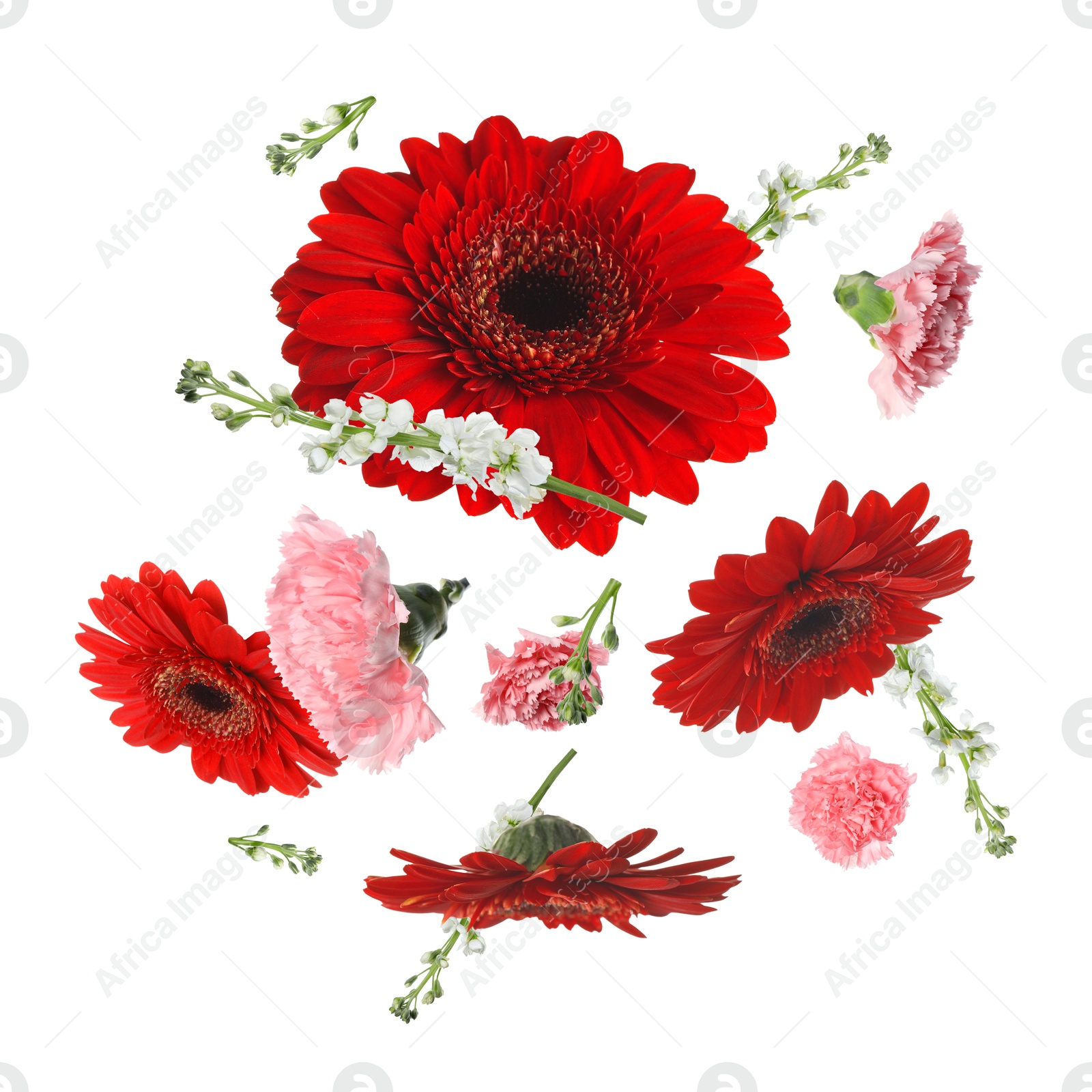 Image of Red gerberas and other beautiful flowers in air on white background