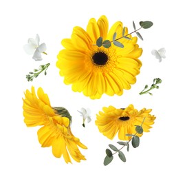 Image of Yellow gerberas and other beautiful flowers in air on white background