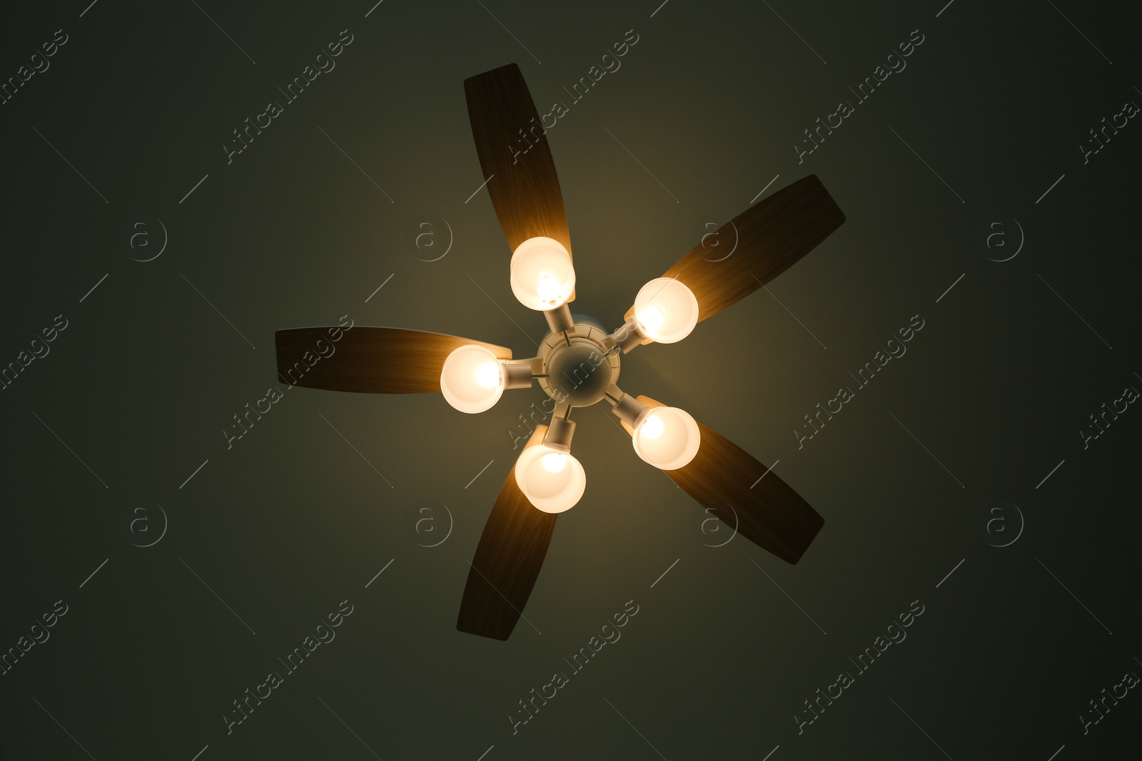 Photo of Modern ceiling fan with lamps, bottom view