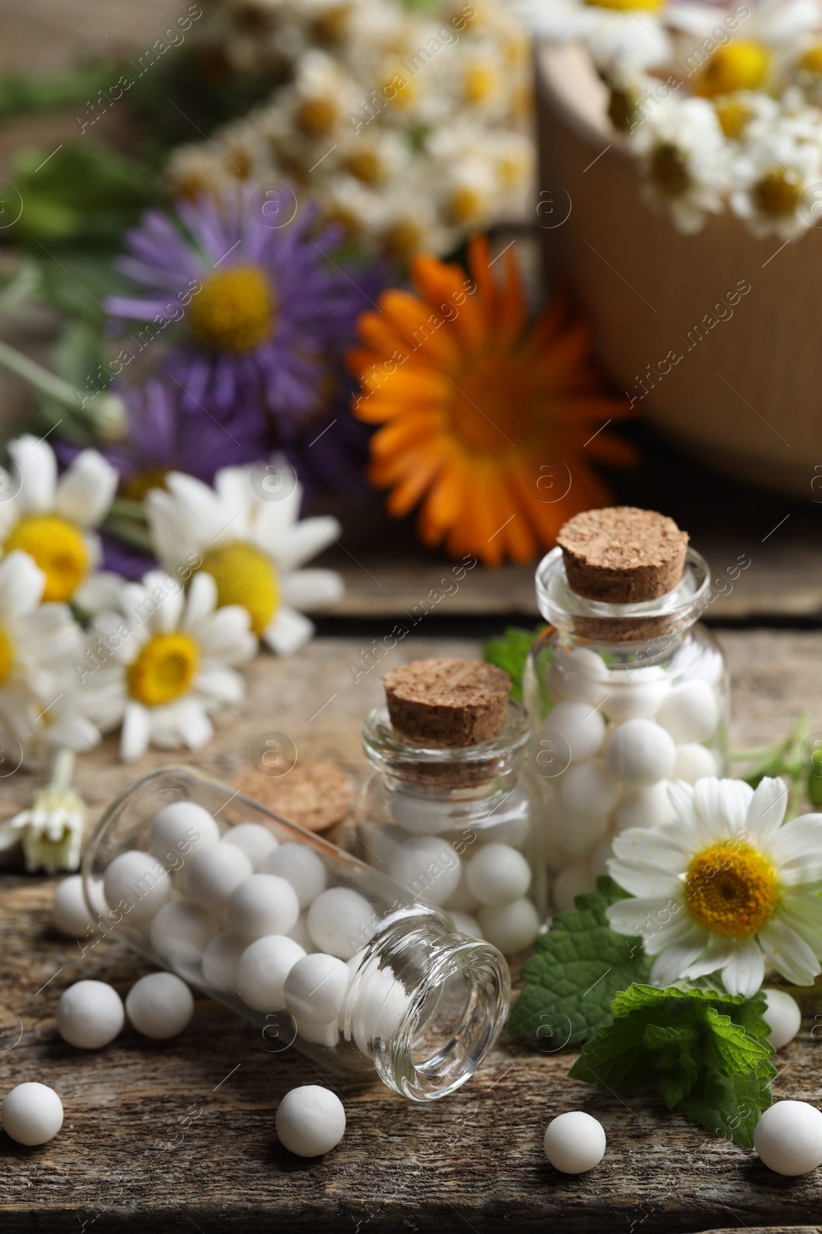 Photo of Homeopathic remedy. Many pills, bottles and chamomile flowers on wooden table, closeup