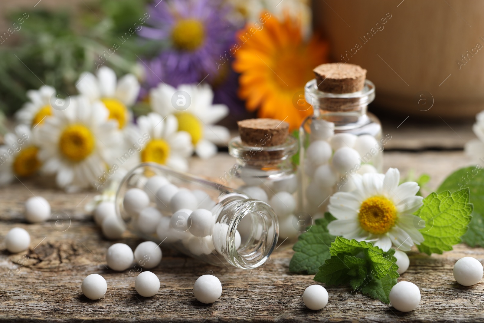 Photo of Homeopathic remedy. Many pills, bottles and chamomile flowers on wooden table, closeup