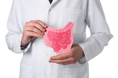 Doctor with paper intestine cutout on white background, closeup