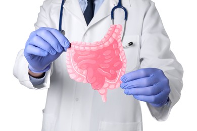 Photo of Doctor with paper intestine cutout on white background, closeup