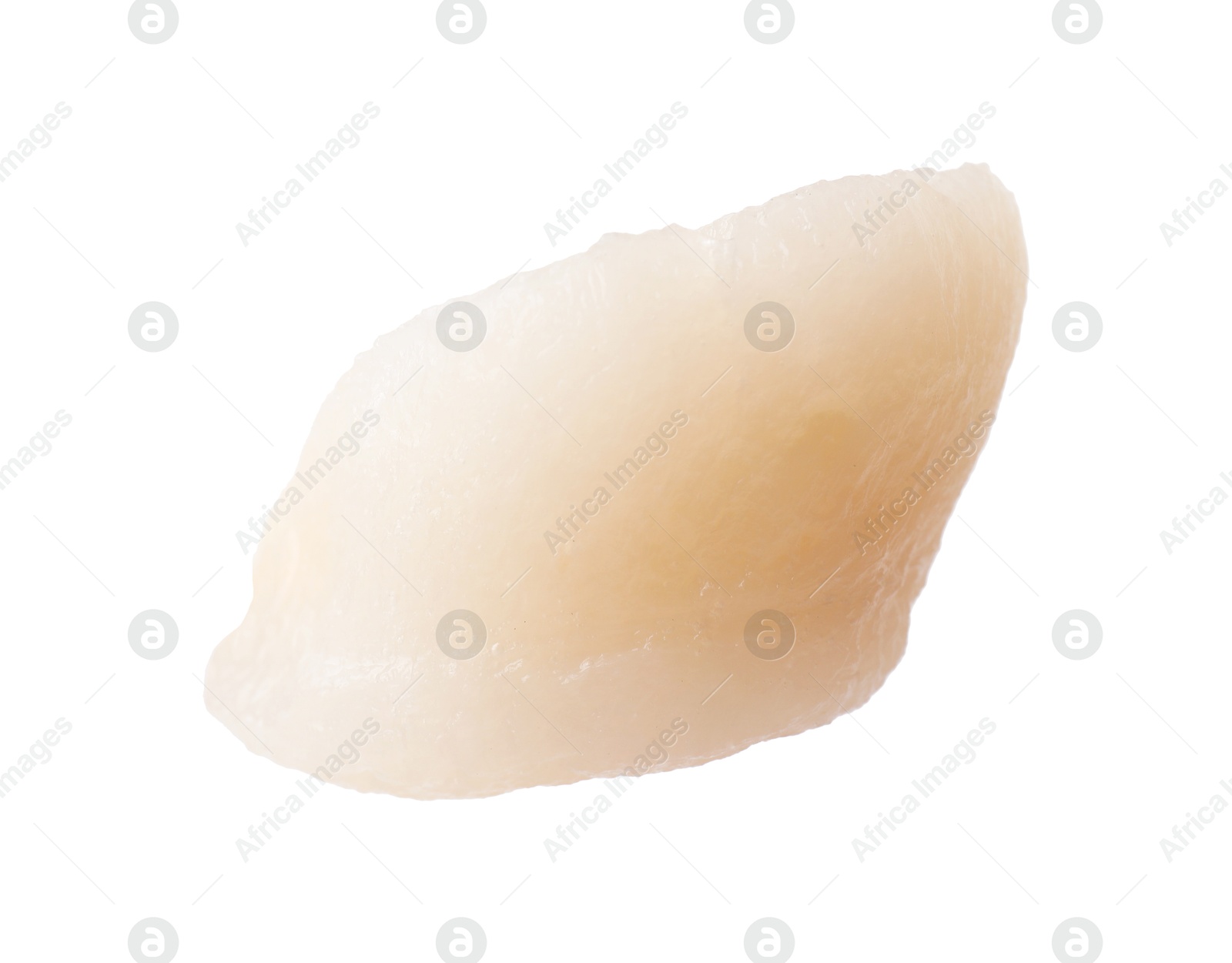 Photo of One fresh raw scallop isolated on white