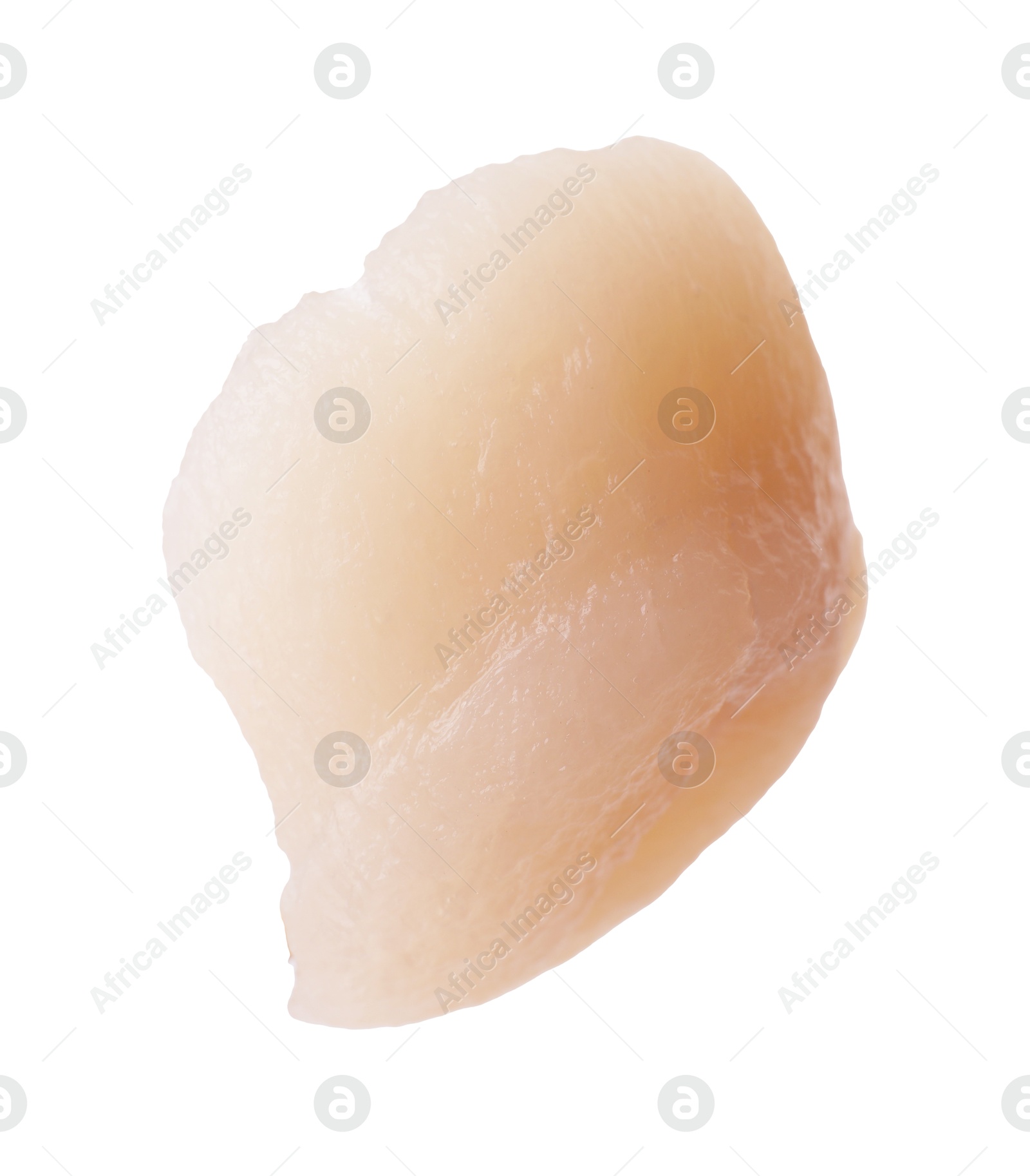 Photo of One fresh raw scallop isolated on white