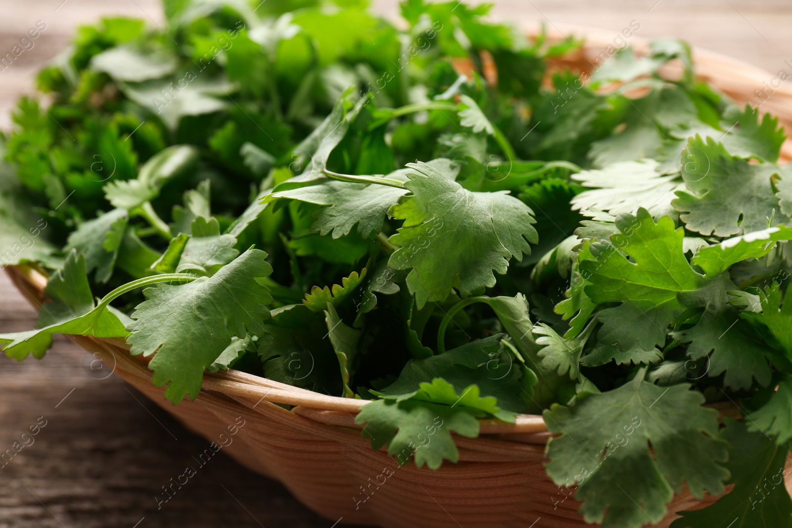 Photo of Fresh coriander in wicker basket on table, closeup