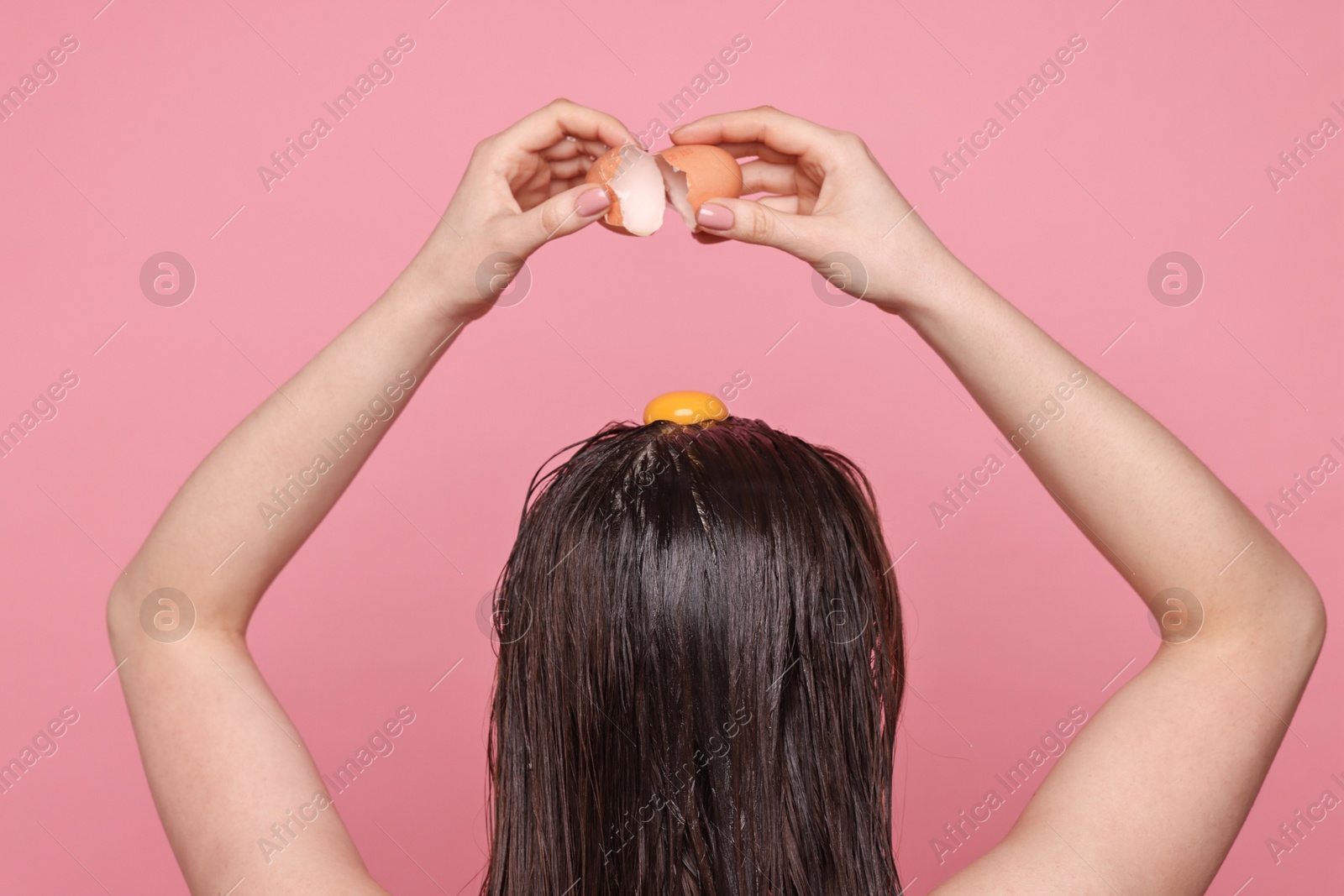 Photo of Woman breaking egg onto her head against pink background, back view. Natural hair mask