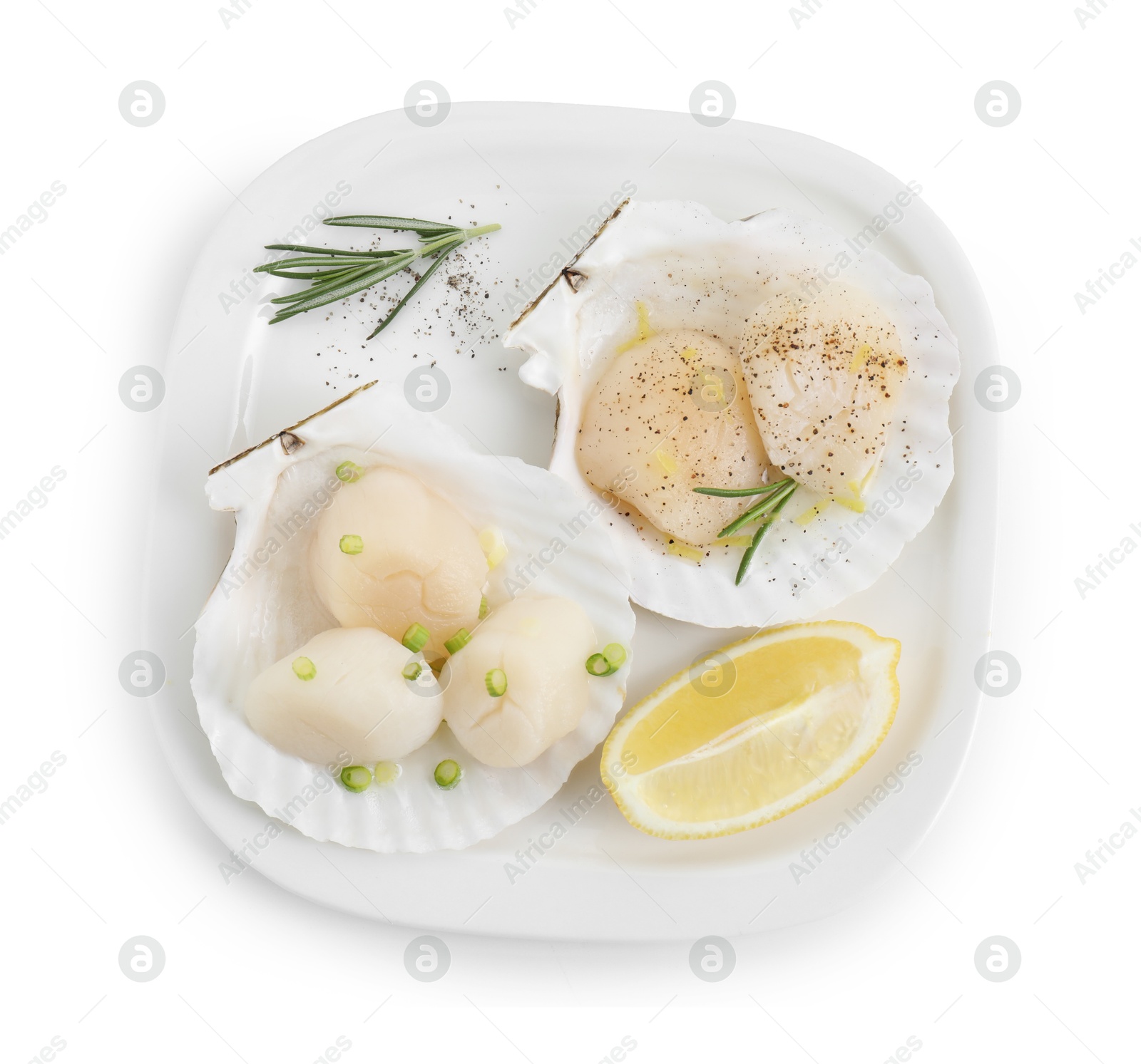 Photo of Raw scallops with green onion, rosemary, lemon and shells isolated on white, top view