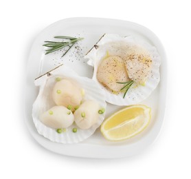 Photo of Raw scallops with green onion, rosemary, lemon and shells isolated on white, top view