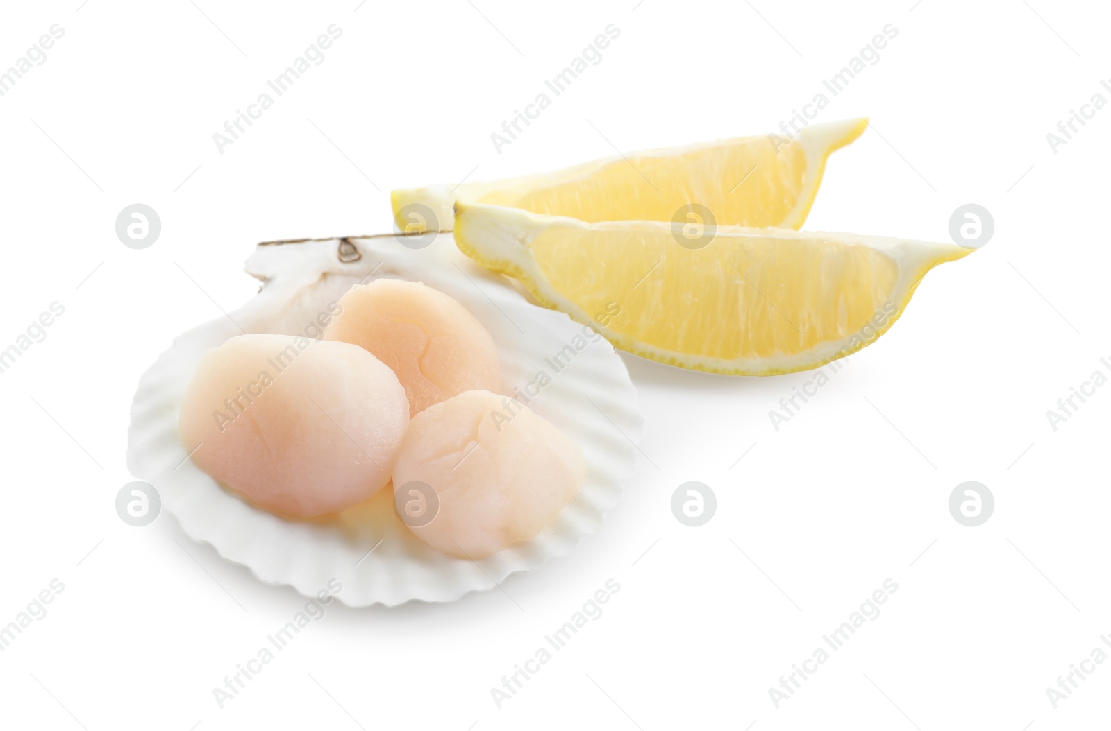 Photo of Raw scallops, shell and lemon slices isolated on white