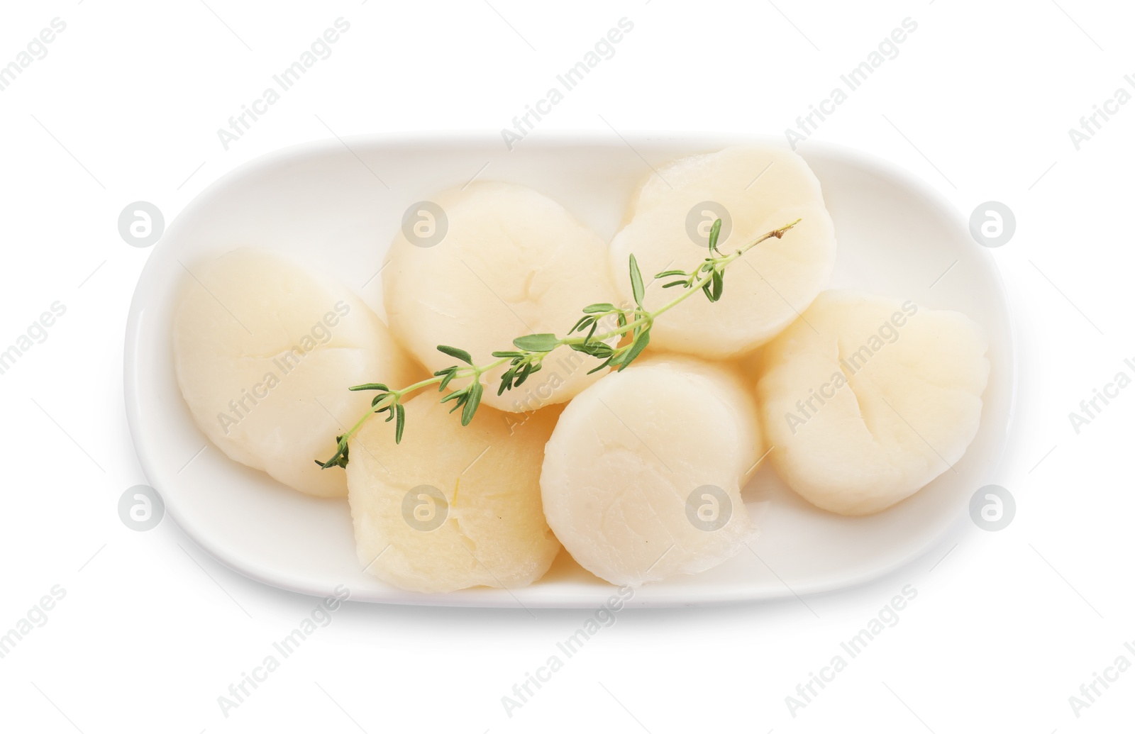 Photo of Fresh raw scallops and thyme isolated on white, top view