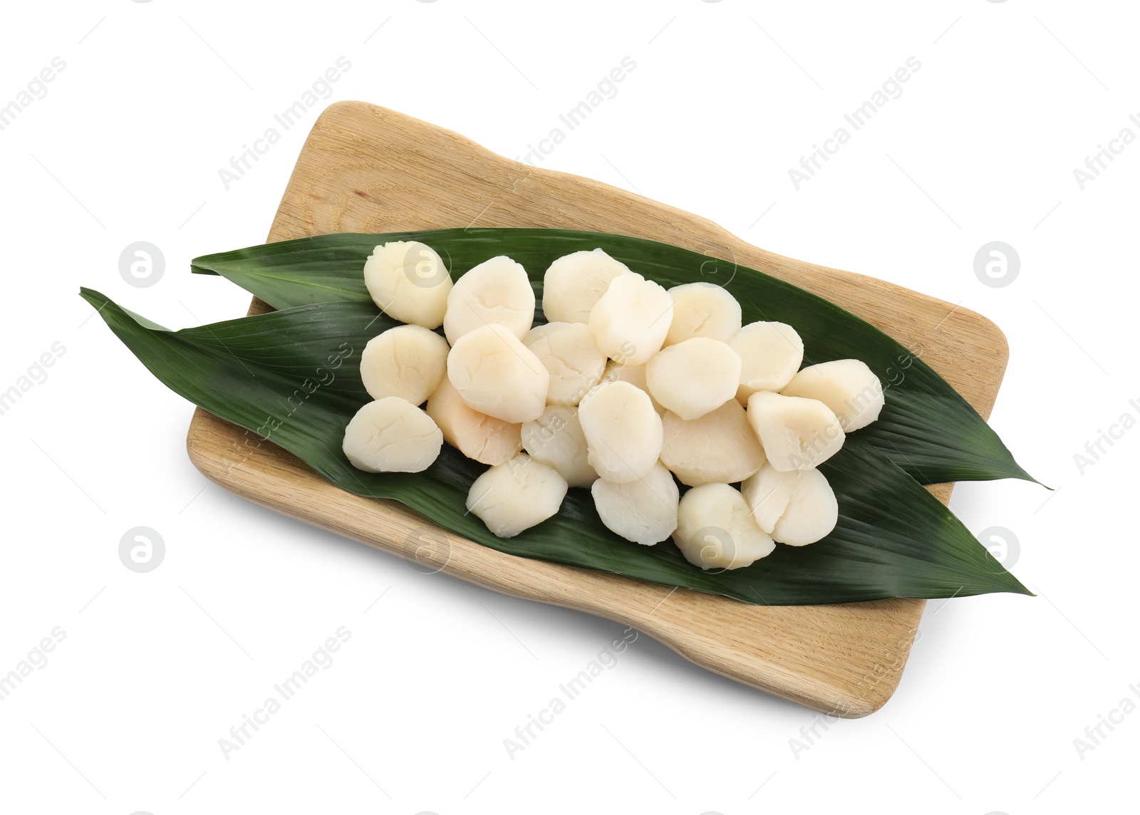 Photo of Fresh raw scallops isolated on white, top view