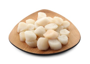 Fresh raw scallops isolated on white. Seafood