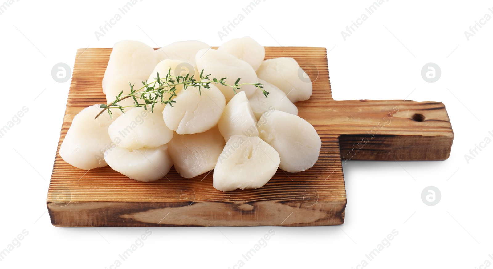 Photo of Fresh raw scallops and thyme isolated on white