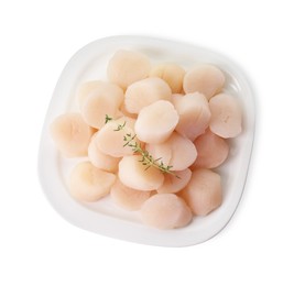Photo of Fresh raw scallops and thyme isolated on white, top view