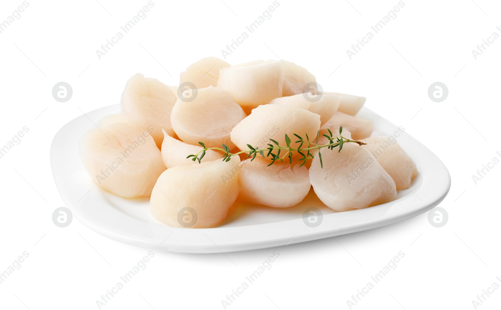 Photo of Fresh raw scallops and thyme isolated on white