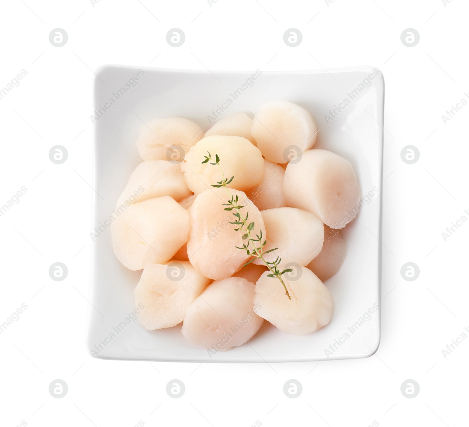 Photo of Fresh raw scallops and thyme isolated on white, top view