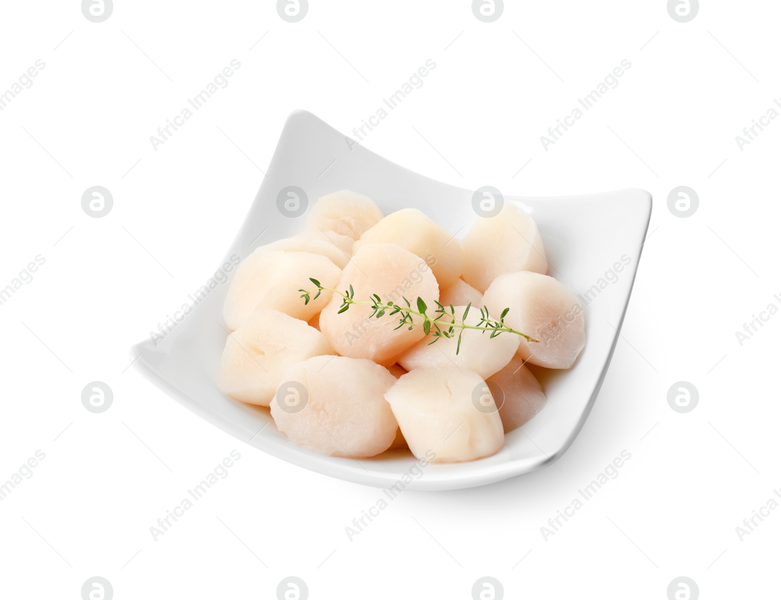 Photo of Fresh raw scallops and thyme isolated on white