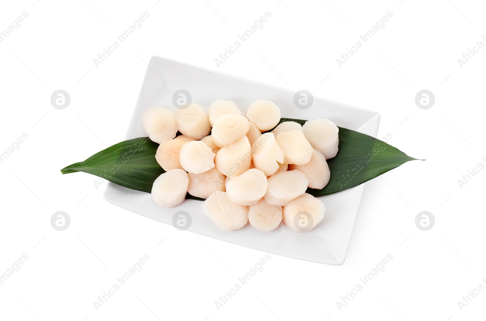 Photo of Fresh raw scallops isolated on white, top view. Seafood