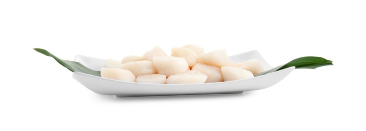 Fresh raw scallops isolated on white. Seafood