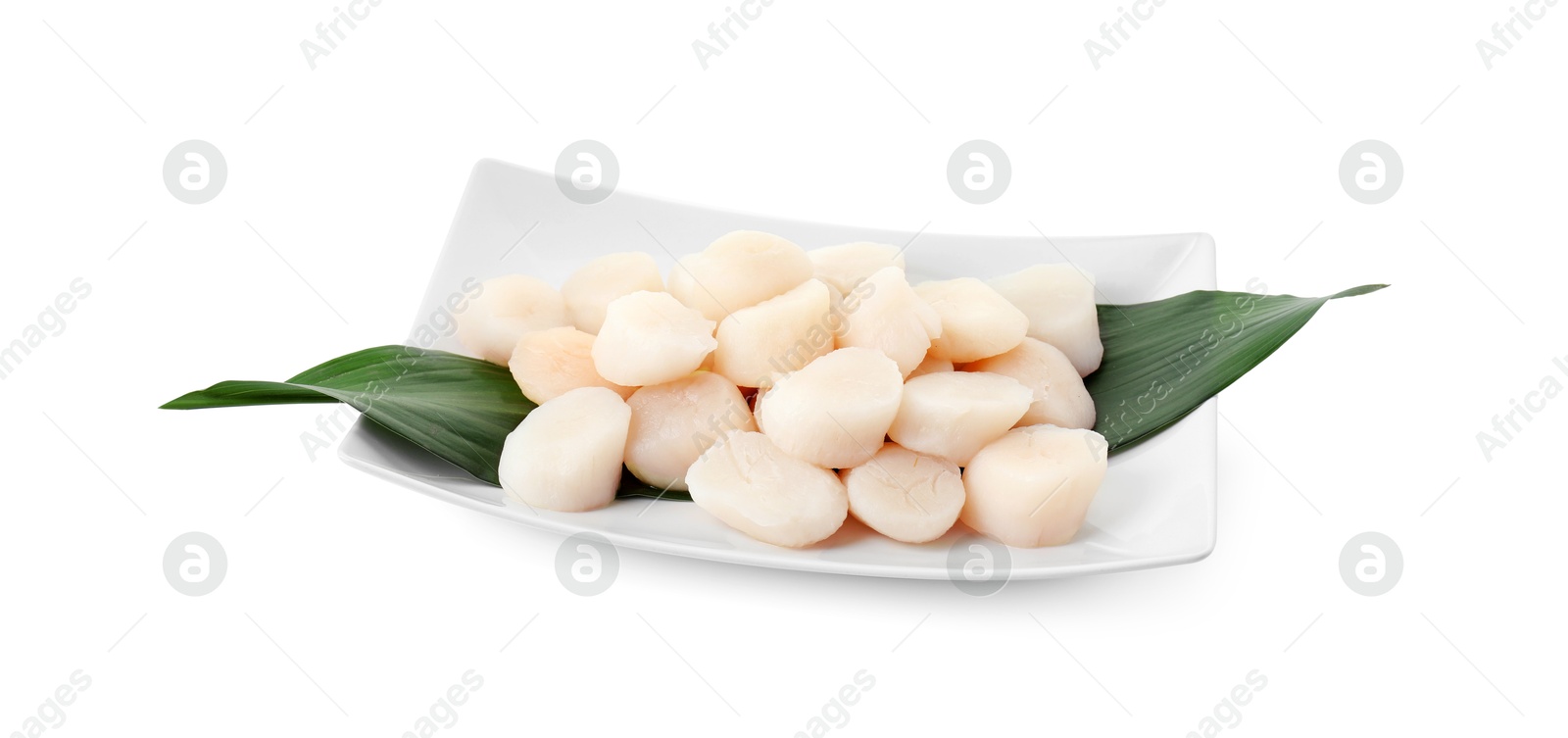 Photo of Fresh raw scallops isolated on white. Seafood